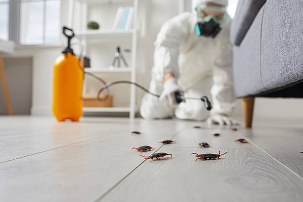Commercial Kitchen Cockroach Control in Madison Heights